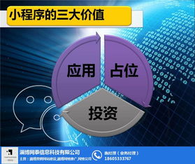 如何申請淄博網泰科技的桓臺微信小程序網站技術服務